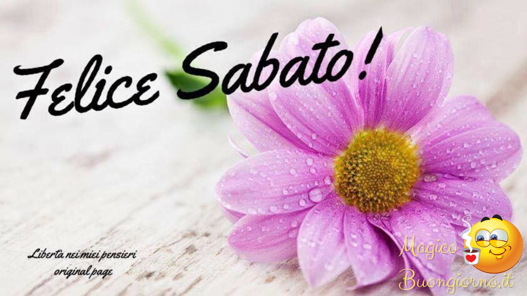 Buon-Sabato-014